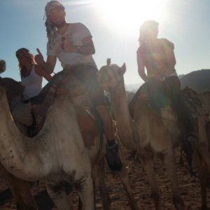 Camel riding in Sharm El Sheikh