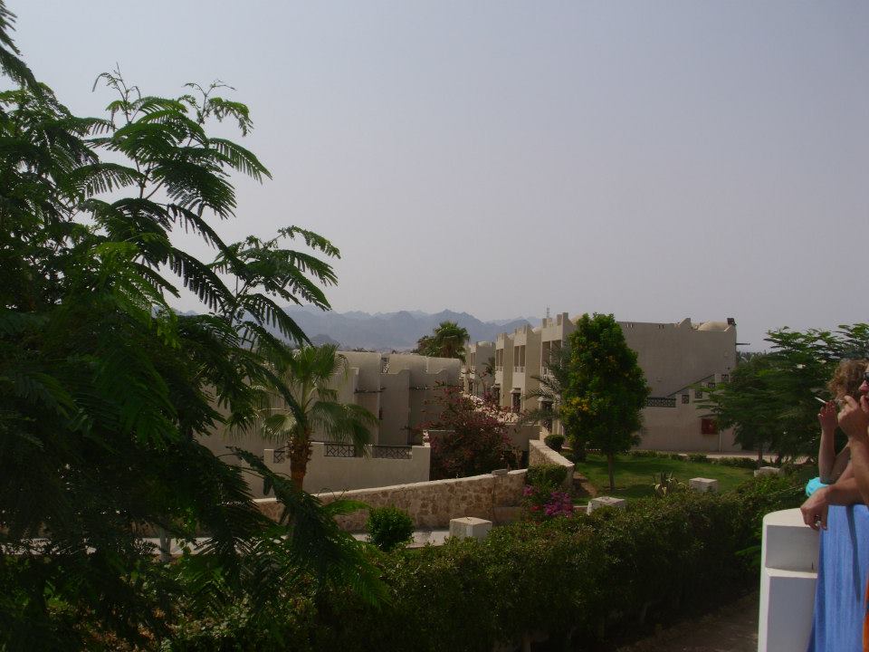 293242_10150970513497186_1542633855_n