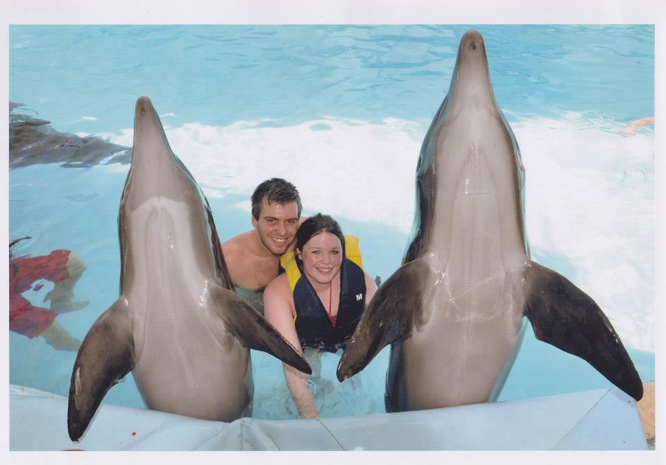 swimming with dolphins in sharm el sheikh