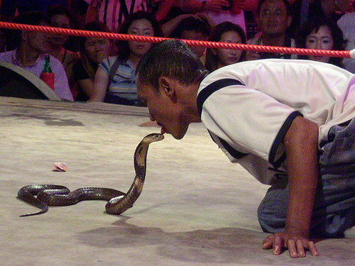 snake tamer