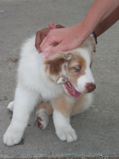 300721_10150276820802186_7387917_n