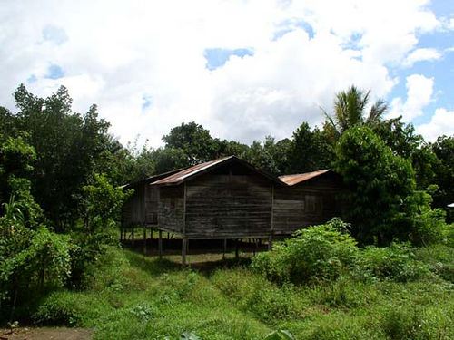 Penan tribe