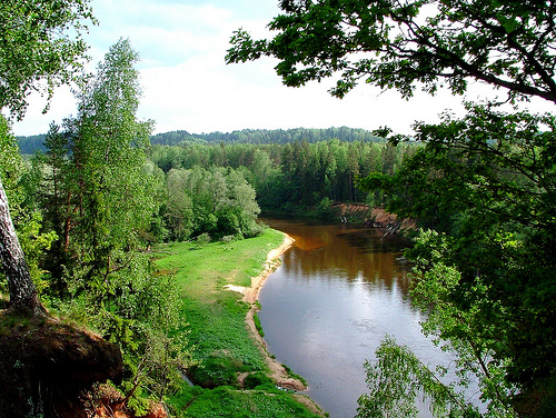 Gauja