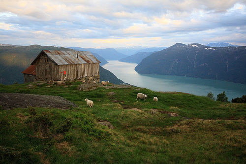 Sognefjord