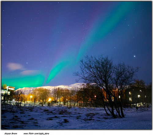 Northern Lights