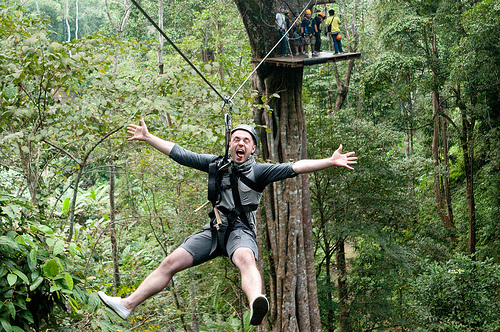 Flight of the Gibbon