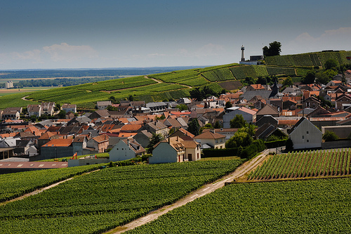 Route Du Champagne