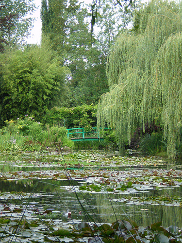 Monet's Garden