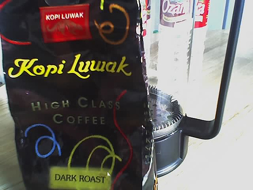 Kopi Luwak