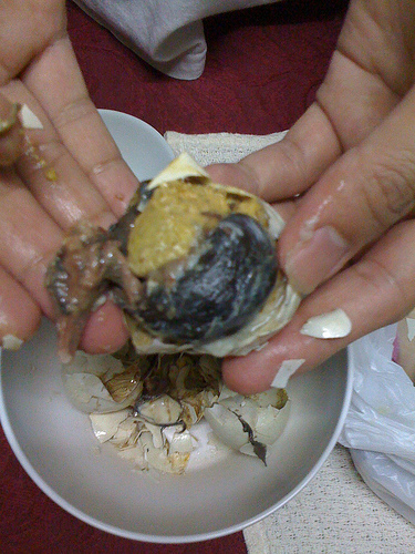 Balut