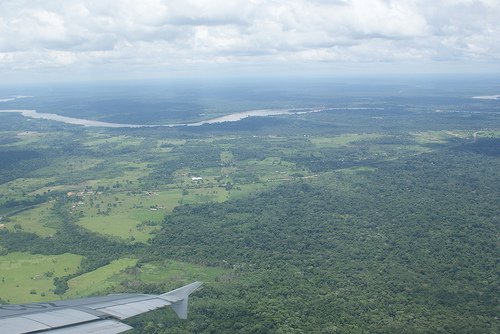 Explore The Rainforest