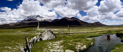 Sajama National Park