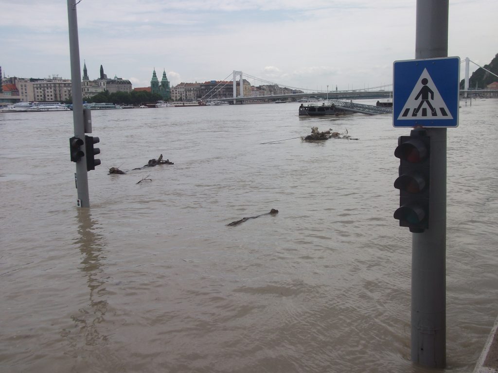 zebra crossing underwater