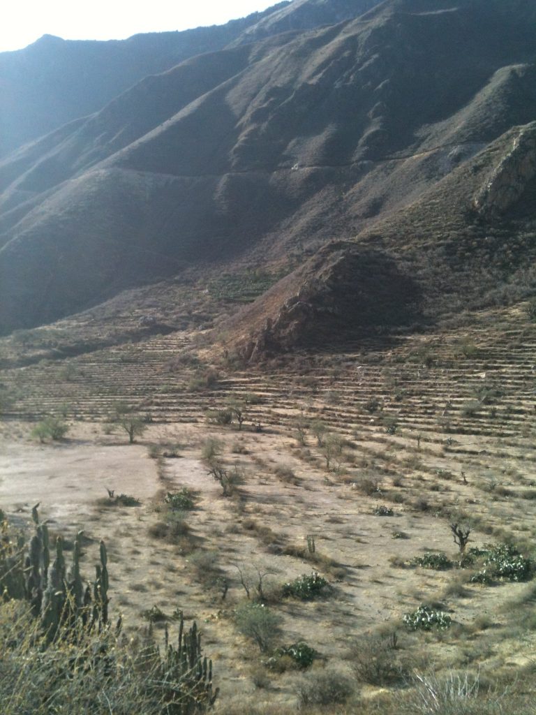 colca canyon walking