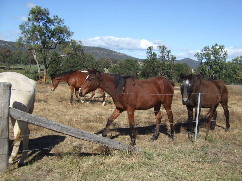 936955_10151660098221210_1560468161_n