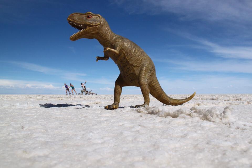 1464621_10151737101522186_2021416306_n