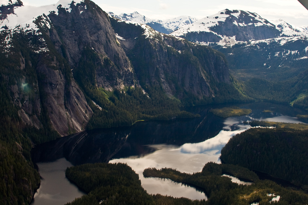 Norwegian Fjord