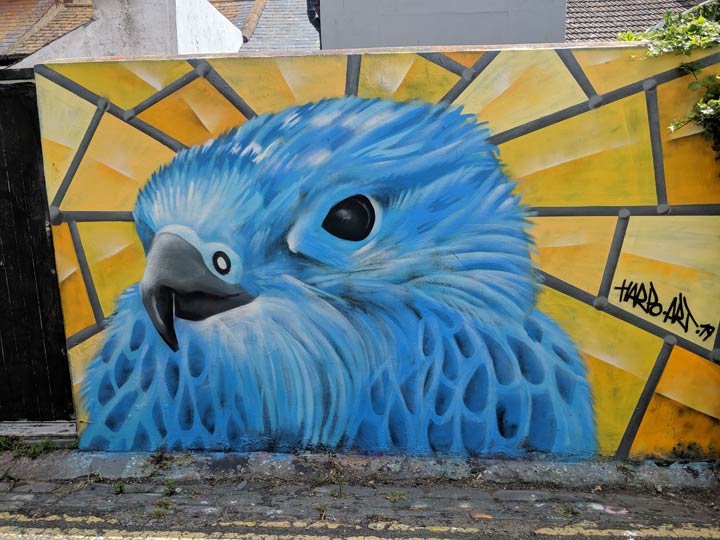 trafalgar-lane-8
