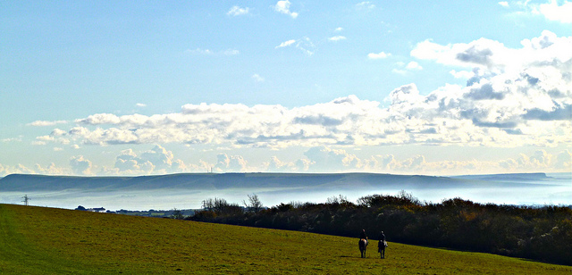 The South Downs