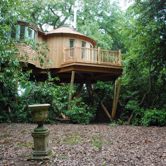 The Harptree Treehouse