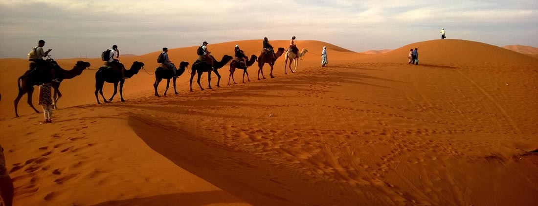 gran-canaria-camel-riding