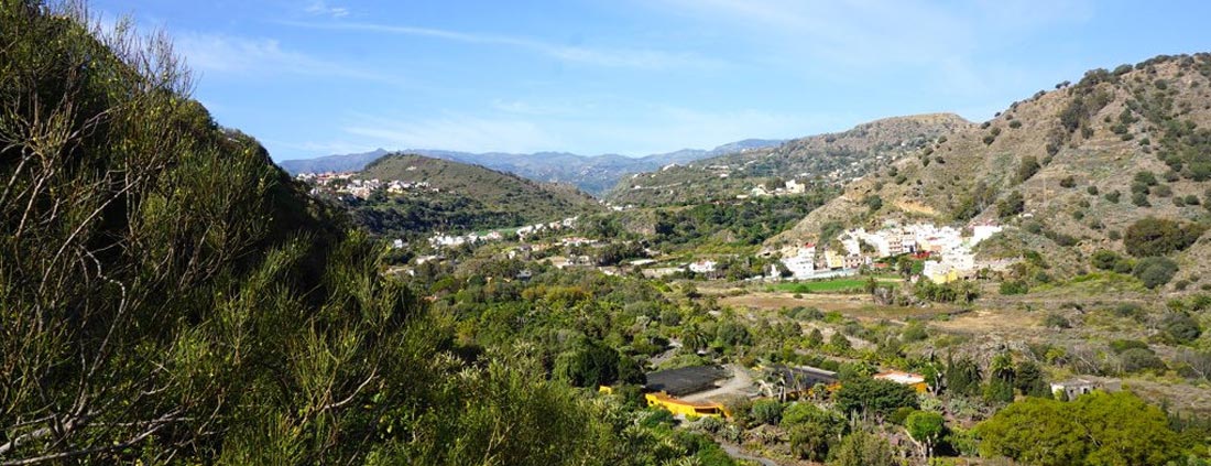 gran-canaria-jardin-canario