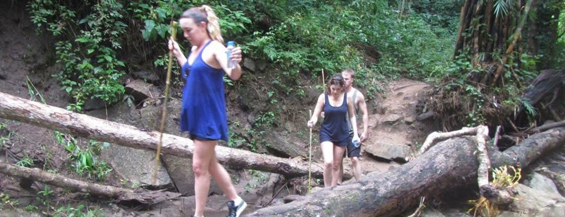 log-trekking