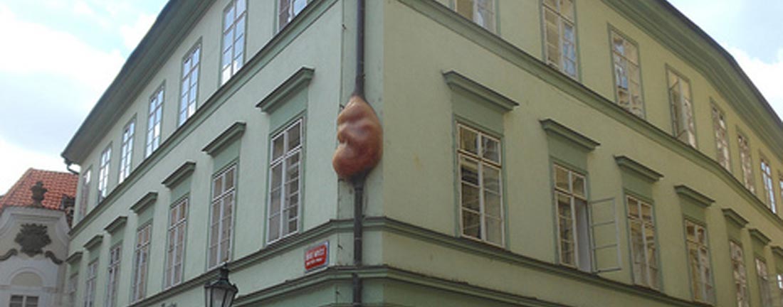 Embryo prague