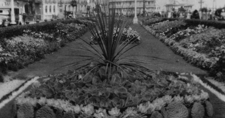 eastbourne carpet gardens