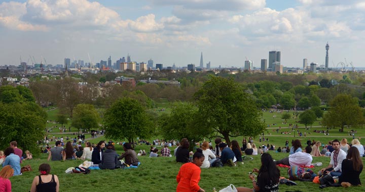 Primrose Hill