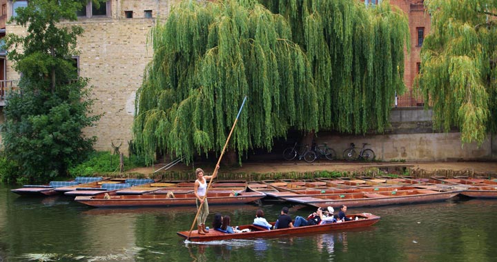 Punting