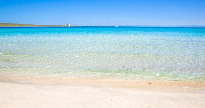 Eating Casu Marzu In Sardinia On TV