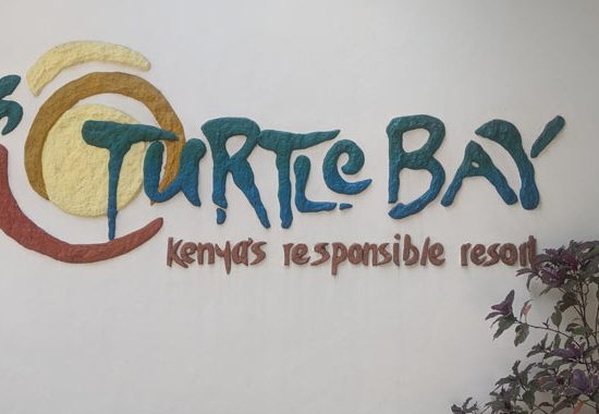 turtle-bay