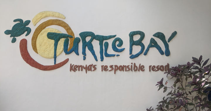 turtle-bay