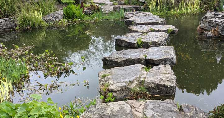 rockery-preston-park