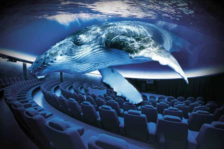 Palma Aqaurium