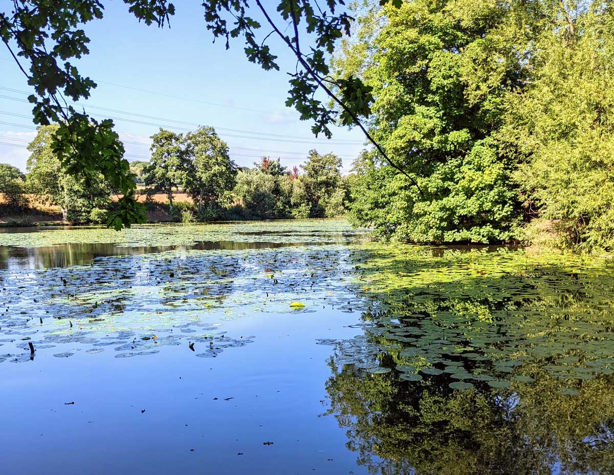 The 11 Best Things to Do in Burgess Hill A Local’s Guide
