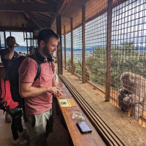 feeding monkeys japan