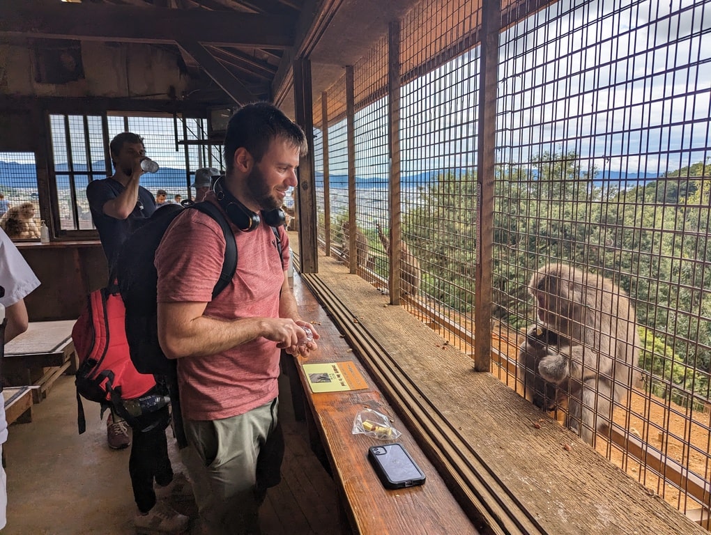 feeding monkeys japan