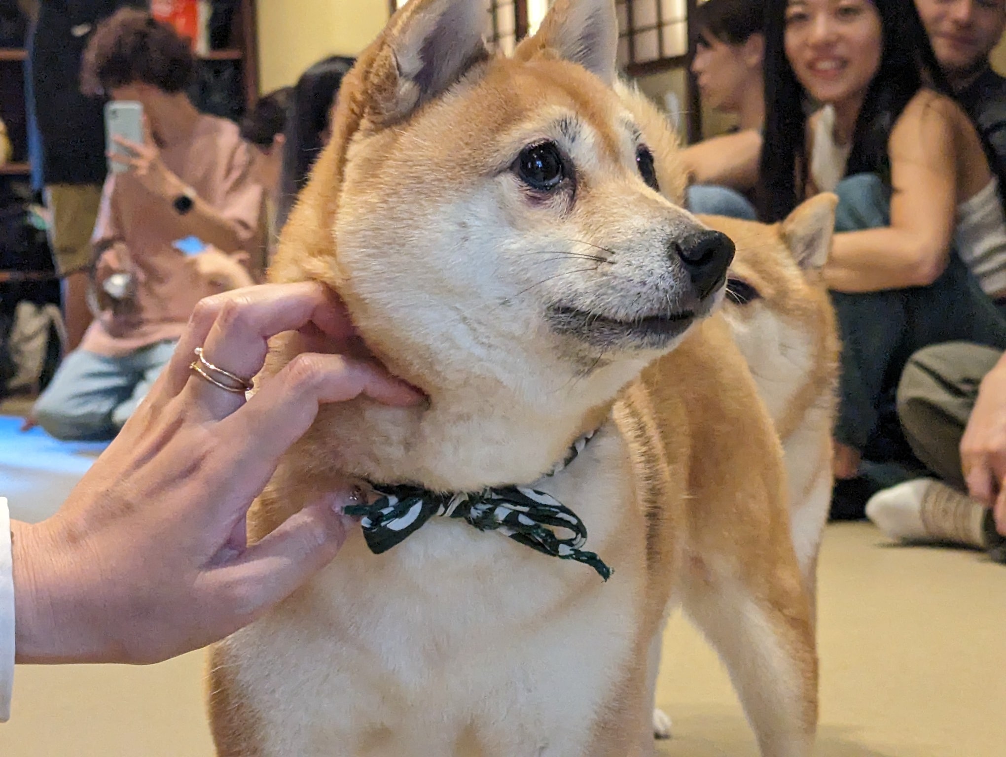 What Not To Do In Japan What To Avoid In Japan What Not To Do In Japan What To Avoid In Japan