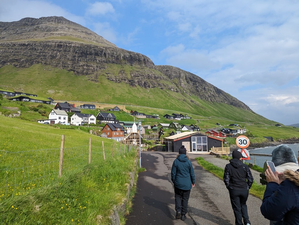 Guide & Local Tour