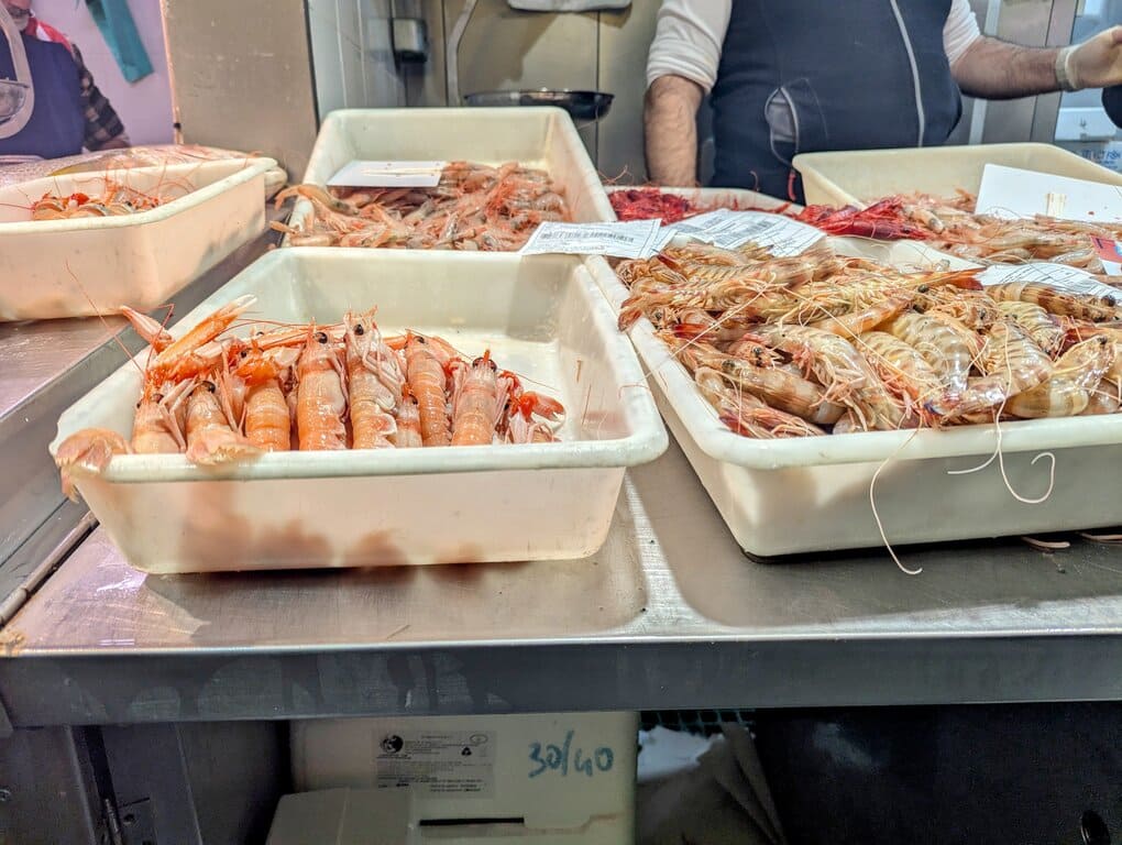 jumbo shrimp