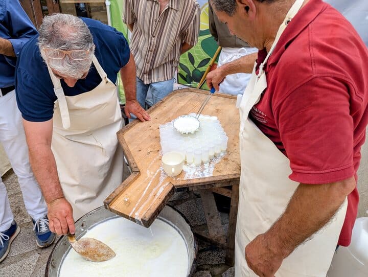 cheese curdling
