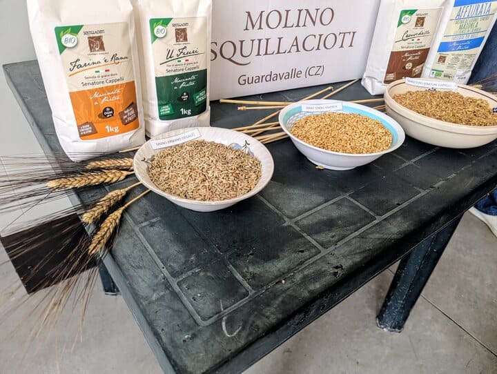 molino squillacioti