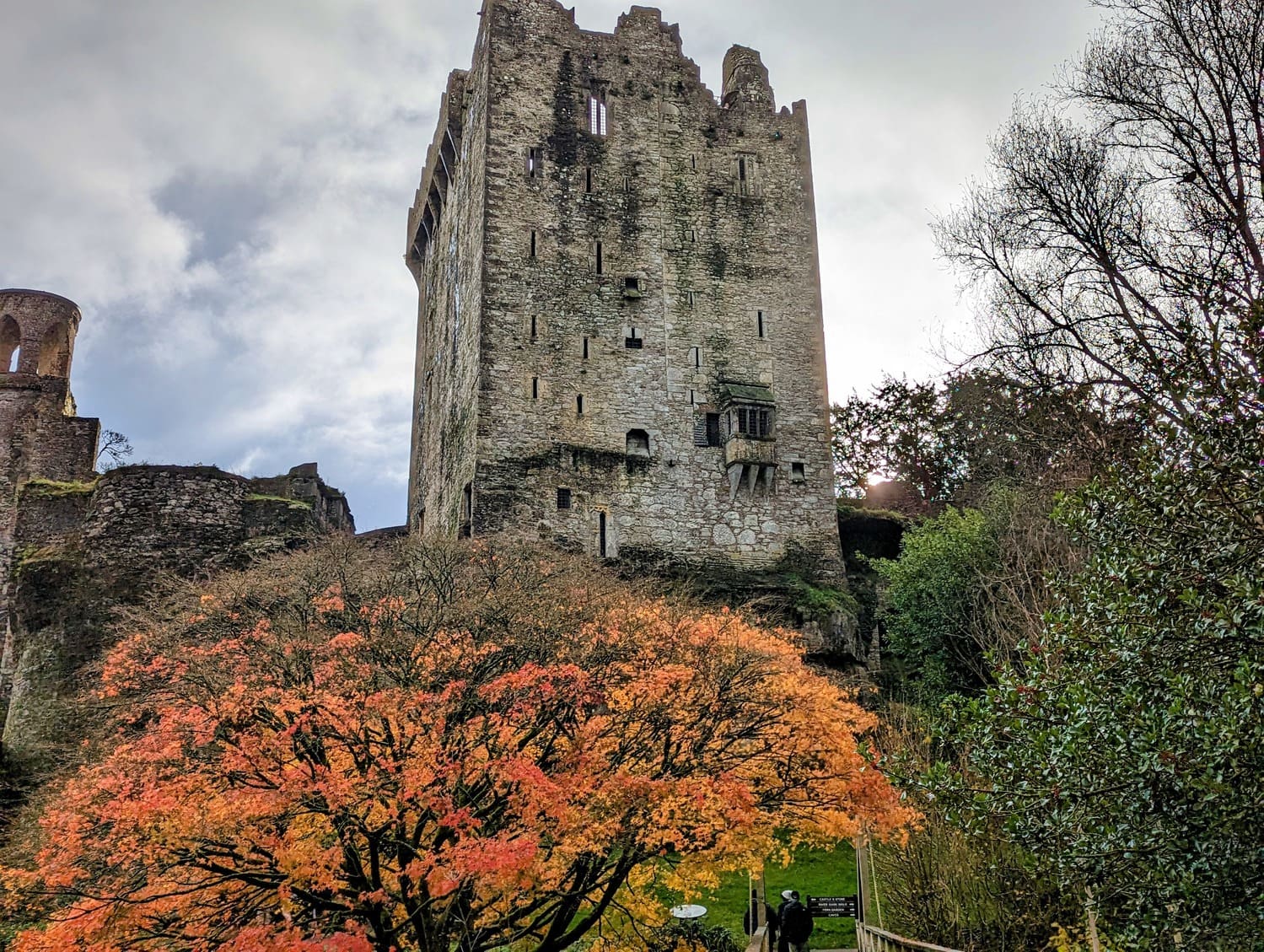 Exploring Ireland on a Tight Budget