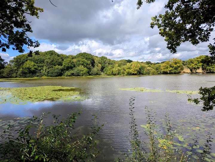 Mill Pond in Slaugham
