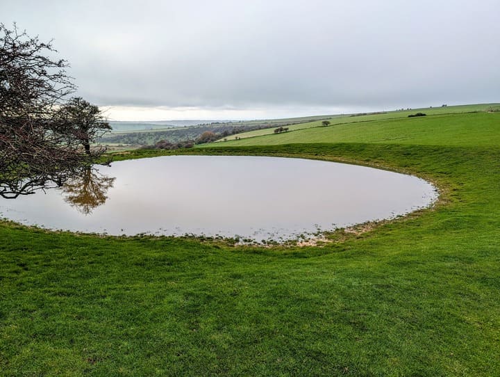 Dew Pond with the lone tree