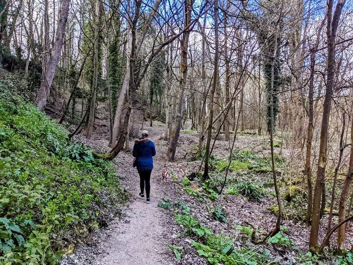 Stanmer Park